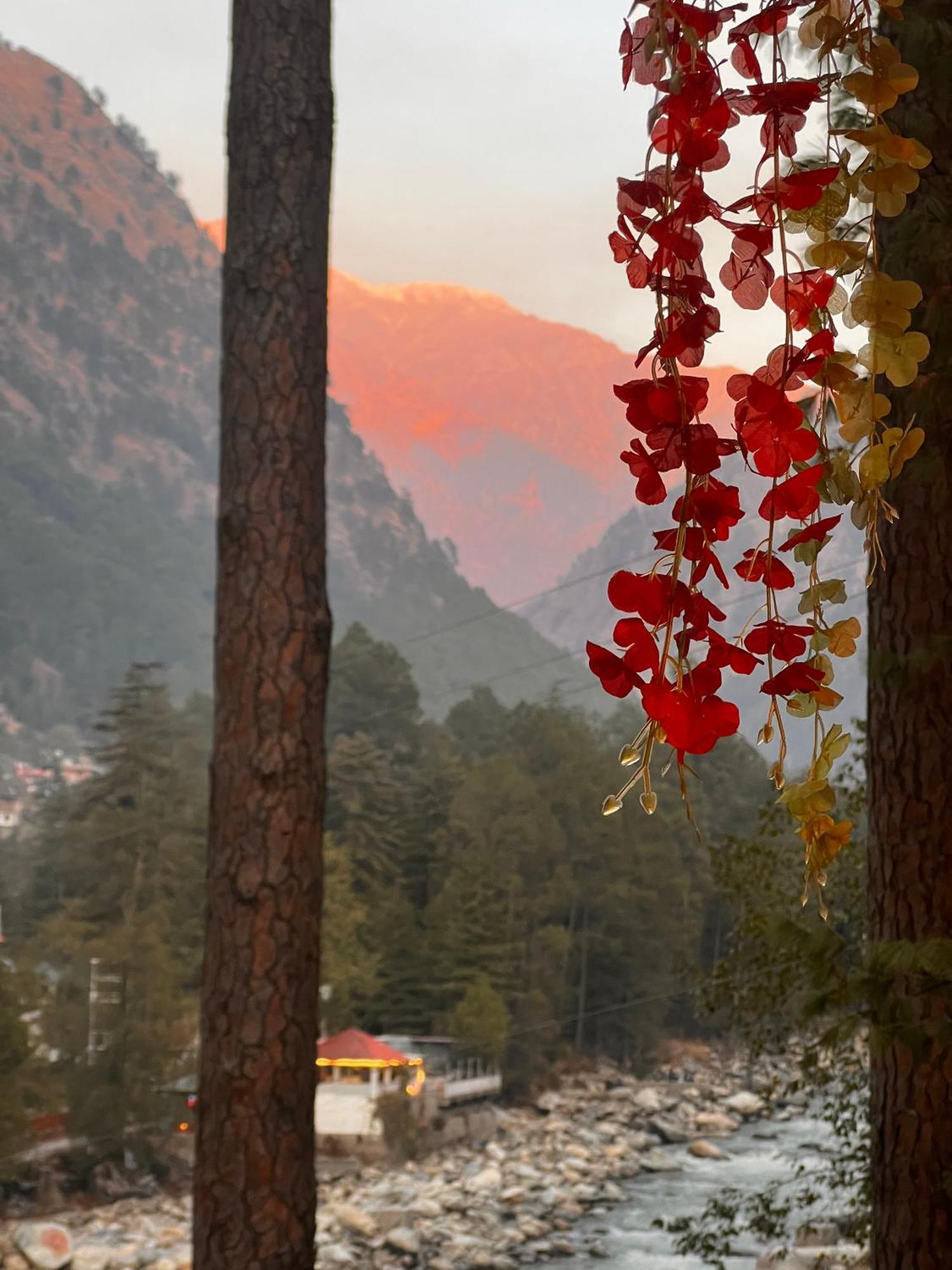 Ahava Kasol Riverside Cafe And Cottages Buitenkant foto