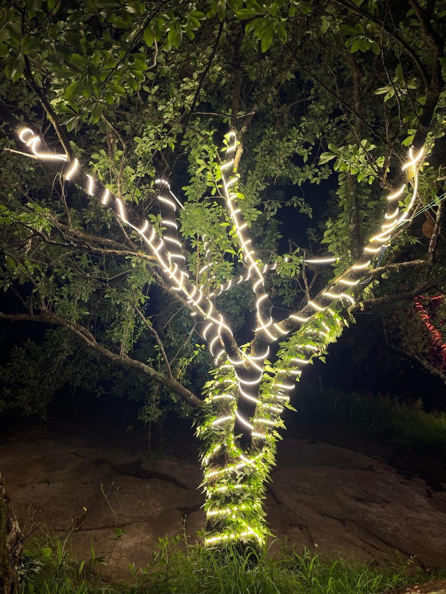 Ahava Kasol Riverside Cafe And Cottages Buitenkant foto